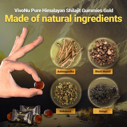 Vitality Boost Himalayan Shilajit Gummies