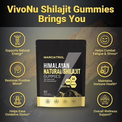 Vitality Boost Himalayan Shilajit Gummies
