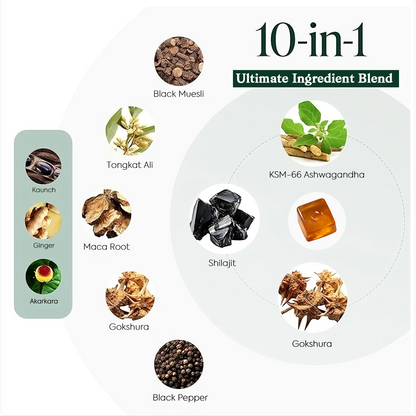 Alpha 10-in-1 Gummies – 4000mg Super Herbs Blend – 60 Count, Clean & Sugar-Free